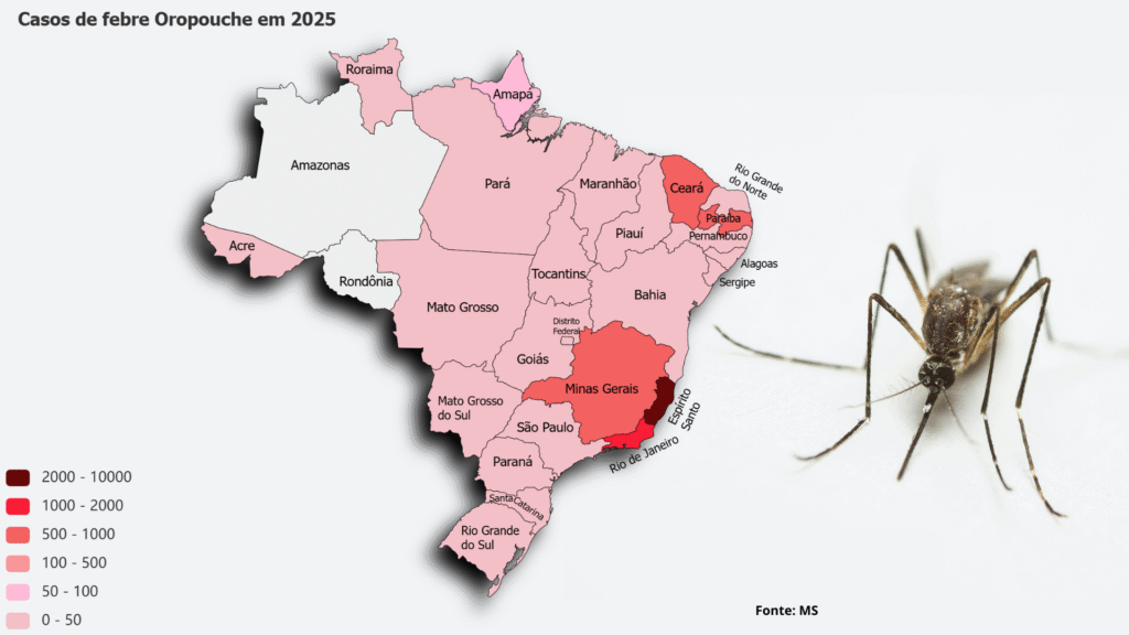 Febre oropouche no Brasil em 2025